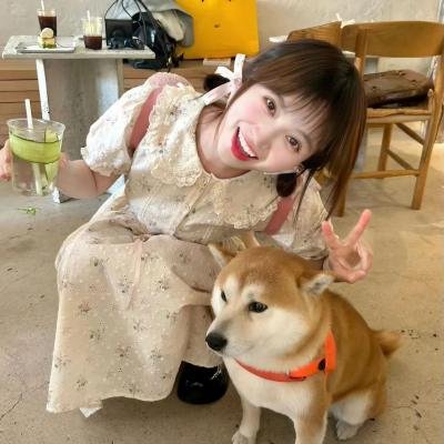 一路不顺风